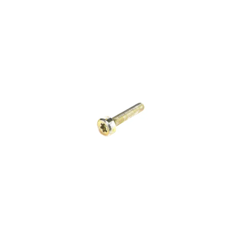 Vis Torx 27 M5 x 25 pour tronçonneuse Stihl 042 048 Seulement Aujourd&rsquo;hui