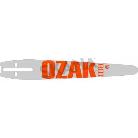 Offre Limitée Guide de tronçonneuse 10&Prime; (25cm) PAS 1/4 Jauge .043 (1,1mm) de Marque OZAKI ou MAYA