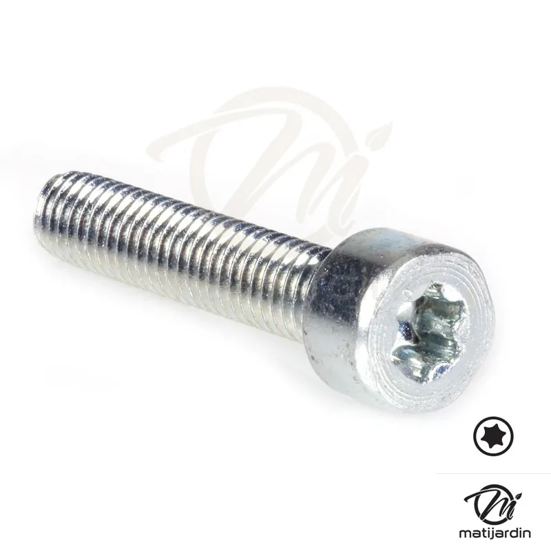 Offre Du Jour Vis Torx 27 M6 x 30 pour tronçonneuse Stihl 034 MS340