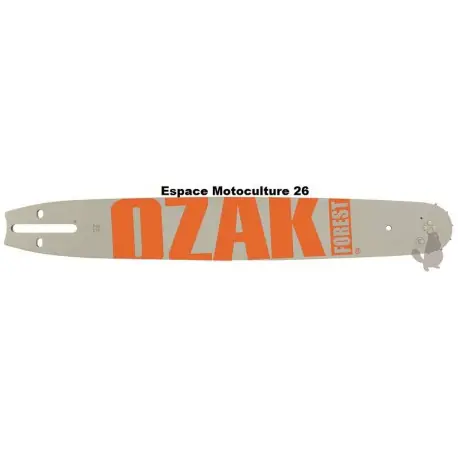 Petit Prix Guide de tronçonneuse 20&Prime; (50cm) PAS 325&Prime; – Jauge .058&Prime;(1,5mm) de Marque OZAKI
