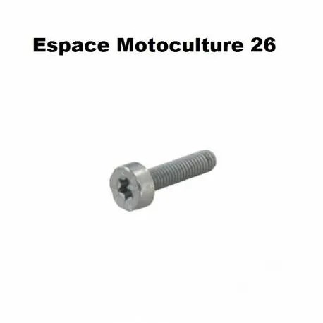 Haute Qualité Vis cylindrique IS M5 X 16 d‘origine STIHL