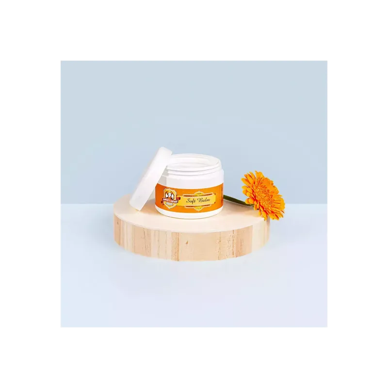 Paiement Sécurisé Ravene - Baume pour le cuir CHARLEE‘S LEATHER Soft Balm - 250ml