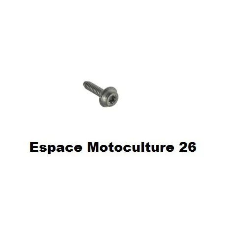 Prix Cassé Vis Cylindrique PAS STIHL – IS-D5x20