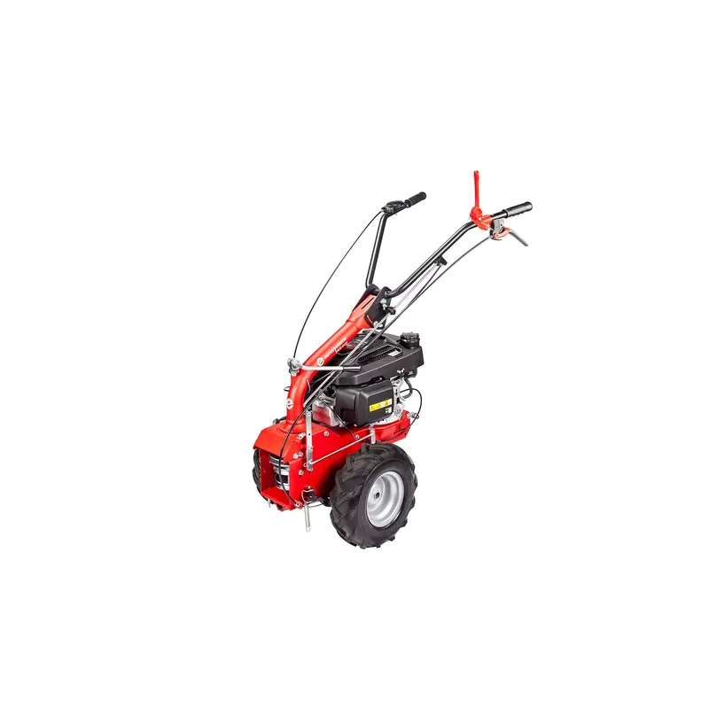 Vente Flash Eurosystems P55 (Briggs & Stratton) – Cellule porte-outils