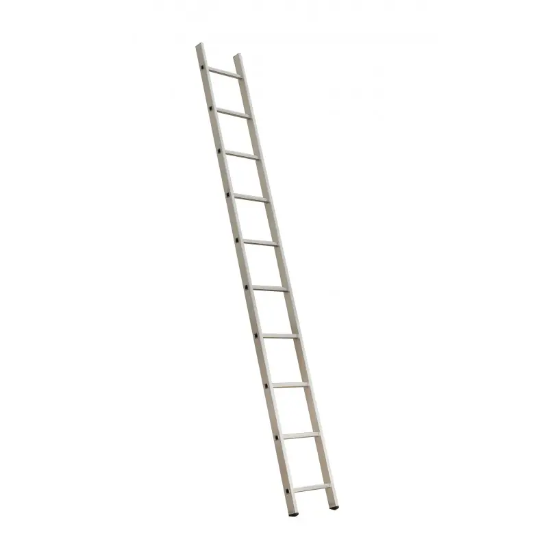 Dernier Modèle ÉCHELLE SIMPLE CLS 10 BX, 2M80 – CENTAURE