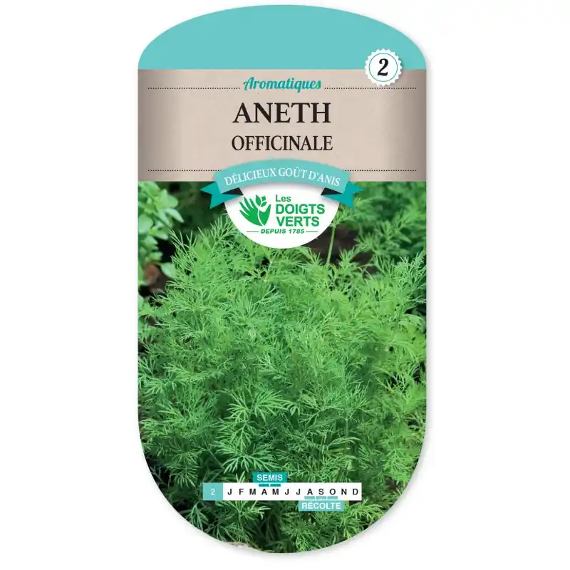 ANETH OFFICINALE – CATÉGORIE 2 – LES DOIGTS VERTS Offre Limitée