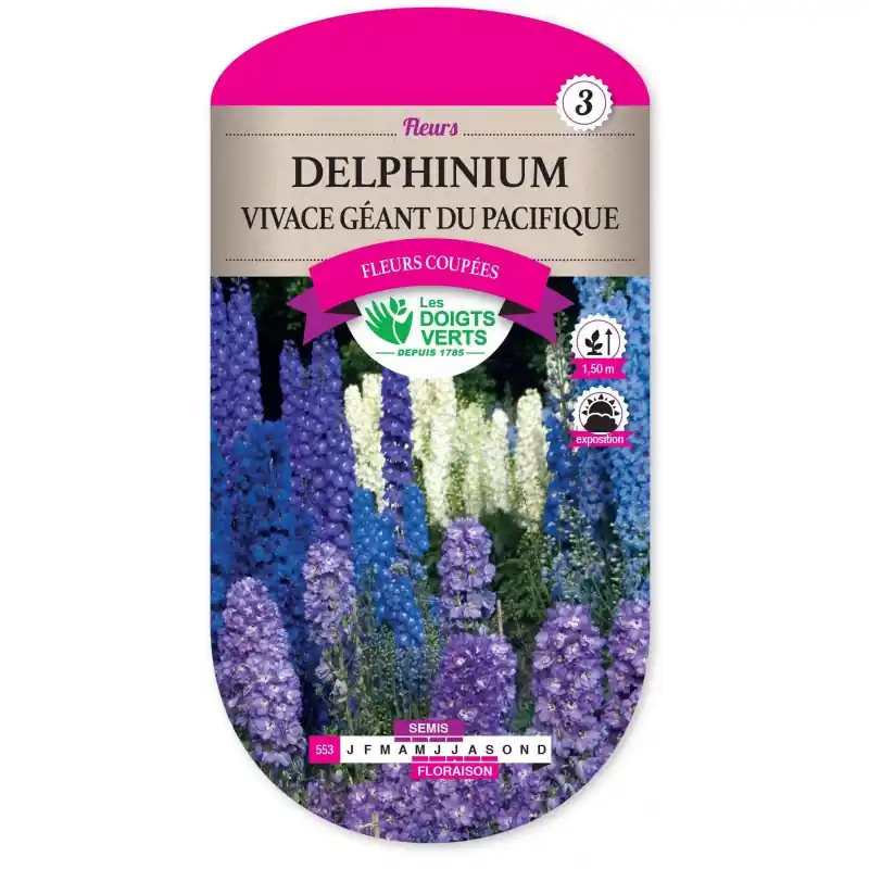 DELPHINIUM VIVACE GÉANT DU PACIFIQUE - CATÉGORIE 3 - LES DOIGTS VERTS Bon Marché