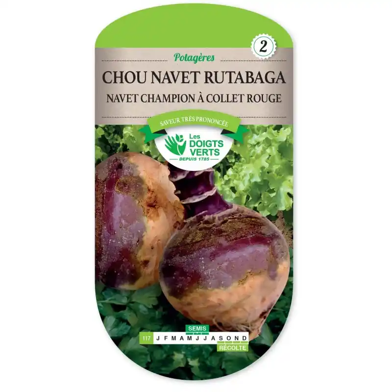 Acheter Direct CHOU NAVET RUTABAGA CHAMPION À COLLET ROUGE – CATÉGORIE 2 – LES DOIGTS VERTS