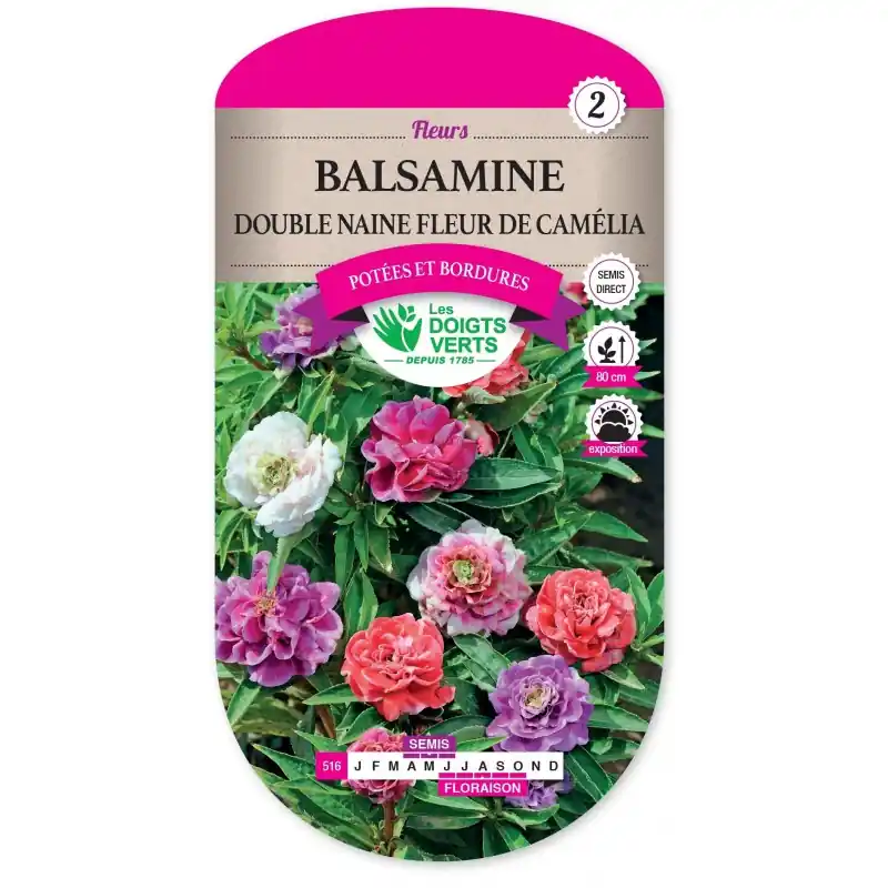 BALSAMINE DOUBLE NAINE FLEUR DE CAMÉLIA - CATÉGORIE 2 - LES DOIGTS VERTS Authentique