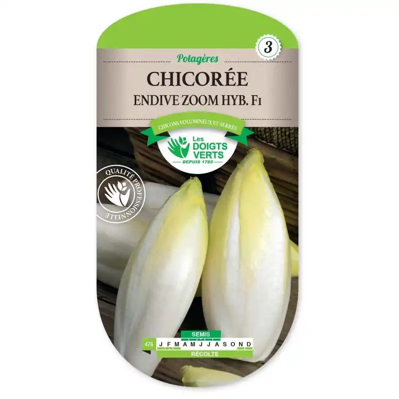 CHICORÉE ENDIVE ZOOM HYBRIDE F1 – CATÉGORIE 3 – LES DOIGTS VERTS Quantité Limitée