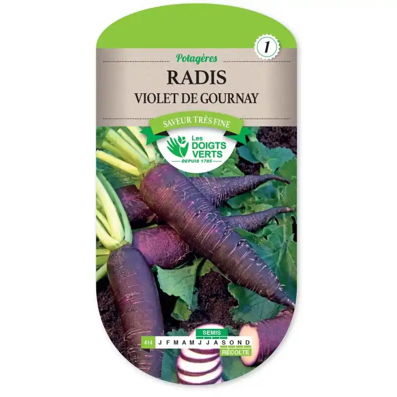 Achetez Aujourd&rsquo;hui RADIS VIOLET DE GOURNAY – CATÉGORIE 1 – LES DOIGTS VERTS
