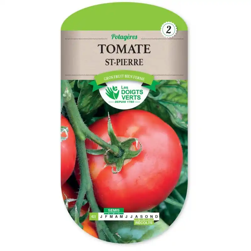 Offre Spéciale TOMATE SAINT-PIERRE - CATÉGORIE 2 - LES DOIGTS VERTS