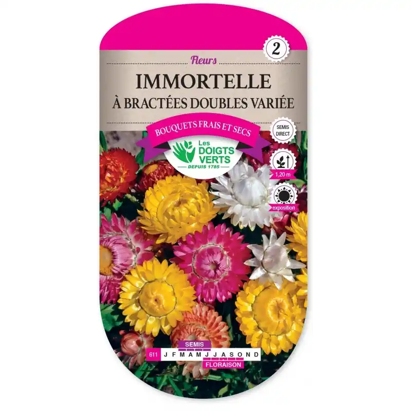 Livraison Express IMMORTELLE A BRACTÉES DOUBLE VARIÉE - CATÉGORIE 2 - LES DOIGTS VERTS