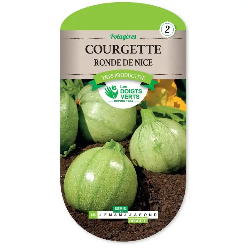 Bon Plan COURGETTE RONDE DE NICE - CATÉGORIE 2 - LES DOIGTS VERTS