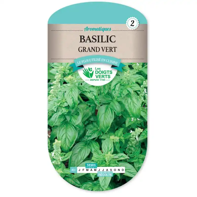 BASILIC GRAND VERT – CATÉGORIE 2 – LES DOIGTS VERTS Offre Du Jour