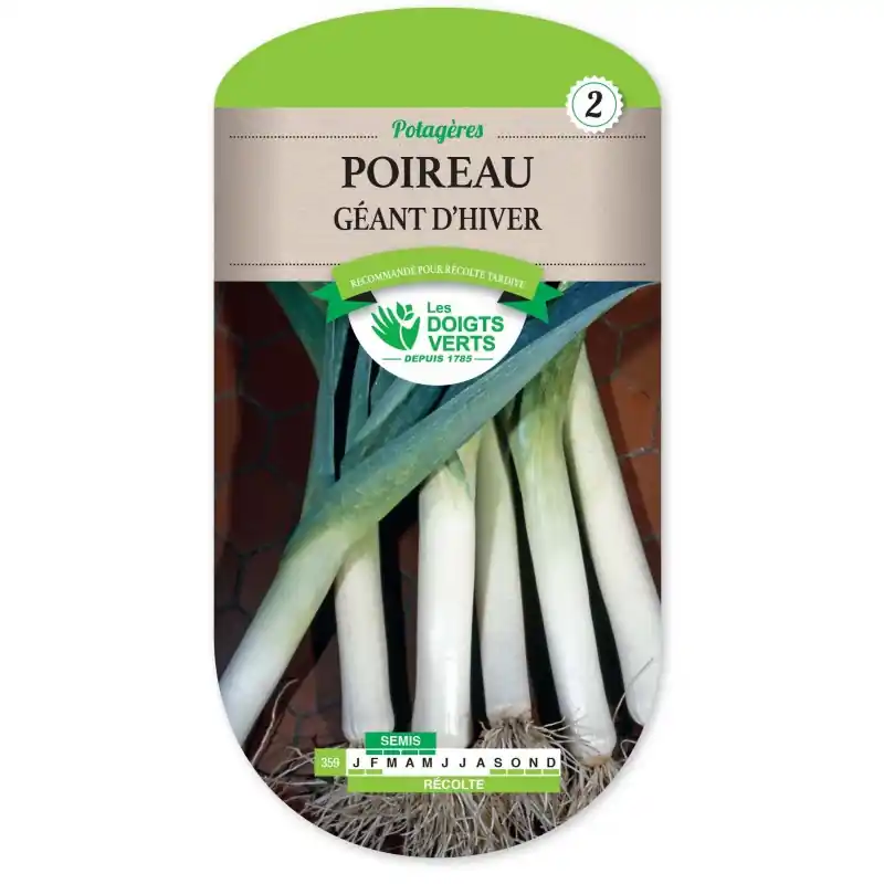 Achat Immédiat POIREAU GÉANT D‘HIVER – CATÉGORIE 2 – LES DOIGTS VERTS
