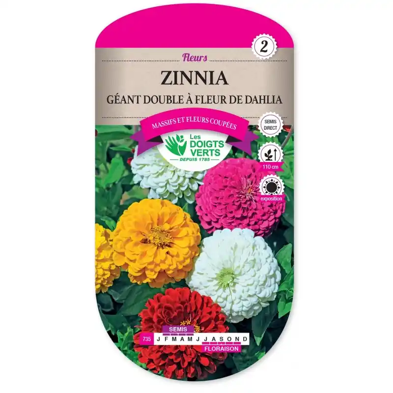 Offre Limitée ZINNIA GÉANT DOUBLE A FLEUR DE DAHLIA - CATÉGORIE 2 - LES DOIGTS VERTS