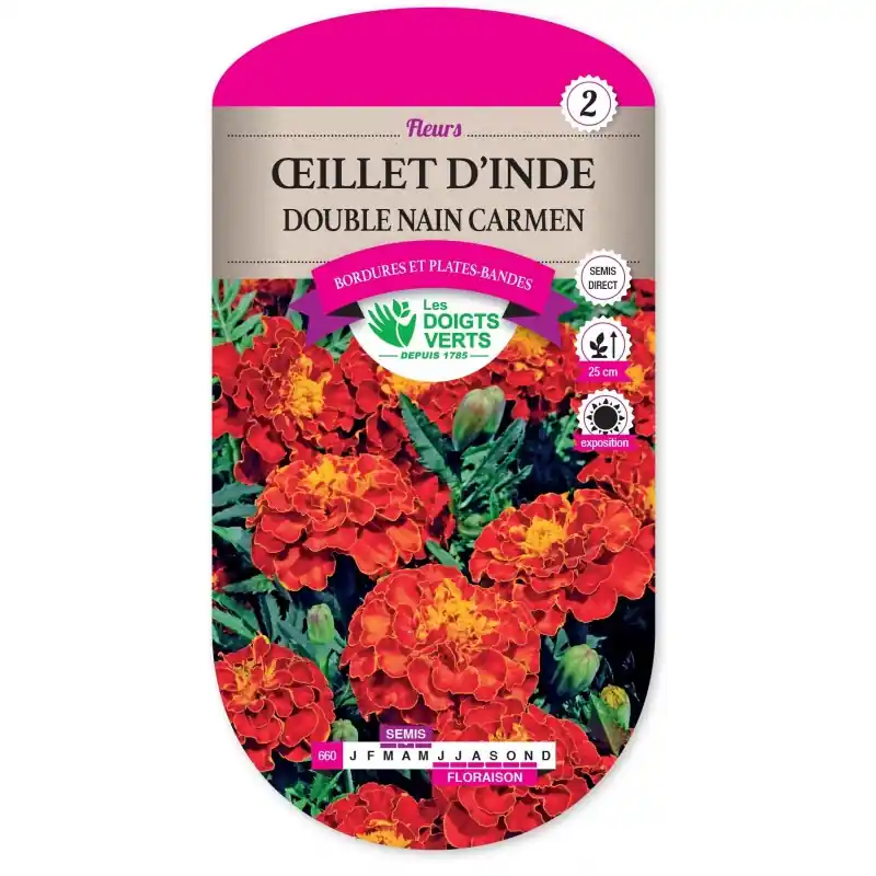 Bon Marché OEILLET D‘INDE DOUBLE NAIN CARMEN - CATÉGORIE 2 - LES DOIGTS VERTS