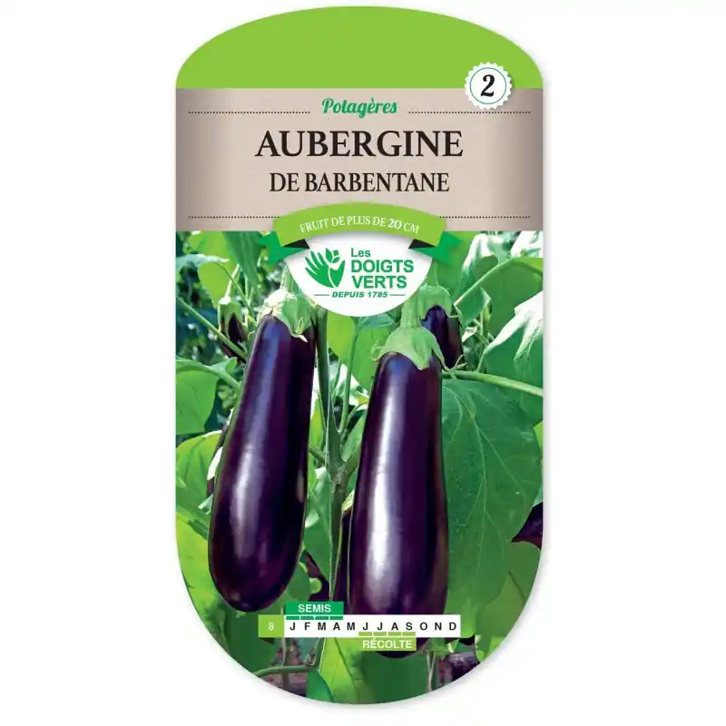 AUBERGINE DE BARBENTANE – CATÉGORIE 2 – LES DOIGTS VERTS Soldes