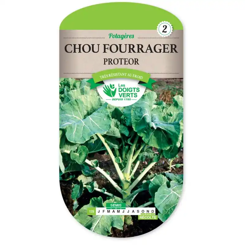 Meilleure Vente CHOU FOURRAGER PROTEOR - CATÉGORIE 2 - LES DOIGTS VERTS