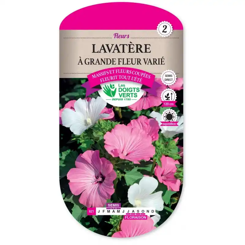 LAVATÈRE A GRANDE FLEUR VARIÉ - CATÉGORIE 2 - LES DOIGTS VERTS Authentique