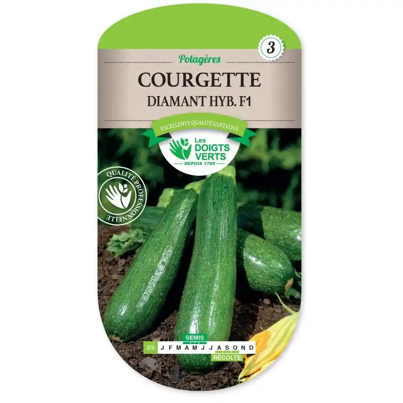 COURGETTE DIAMANT HYBRIDE F1 - CATÉGORIE 3 - LES DOIGTS VERTS Produit De Marque