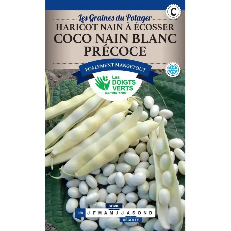 HARICOT NAIN COCO BLANC 250GR Dernier Modèle