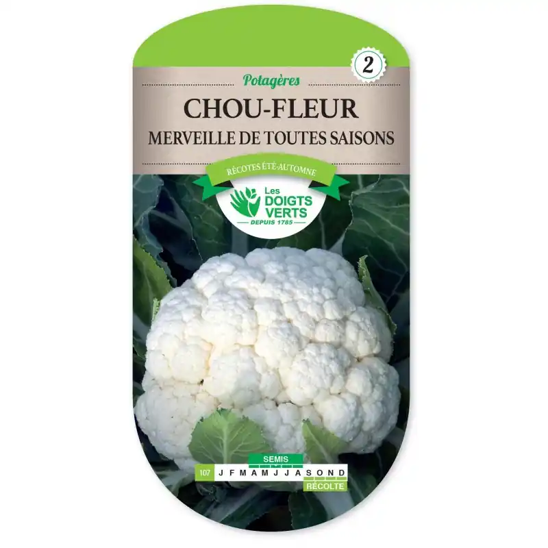 Must-Have CHOU-FLEUR MERVEILLE DE TOUTES SAISONS - CATÉGORIE 2 - LES DOIGTS VERTS
