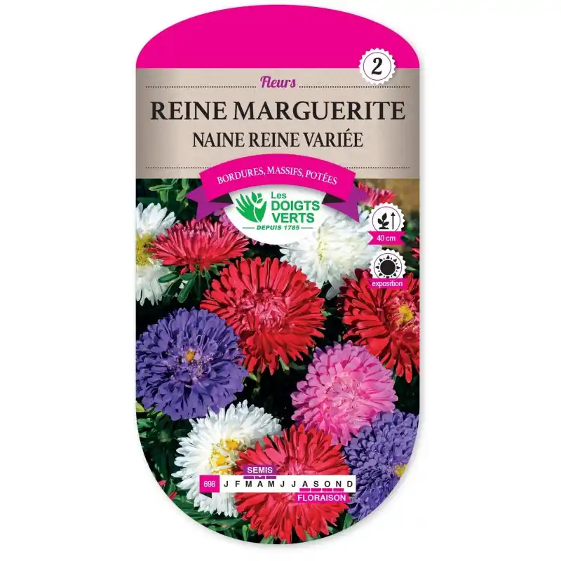 REINE MARGUERITE NAINE REINE VARIÉE - CATÉGORIE 2 - LES DOIGTS VERTS Seulement Aujourd'hui