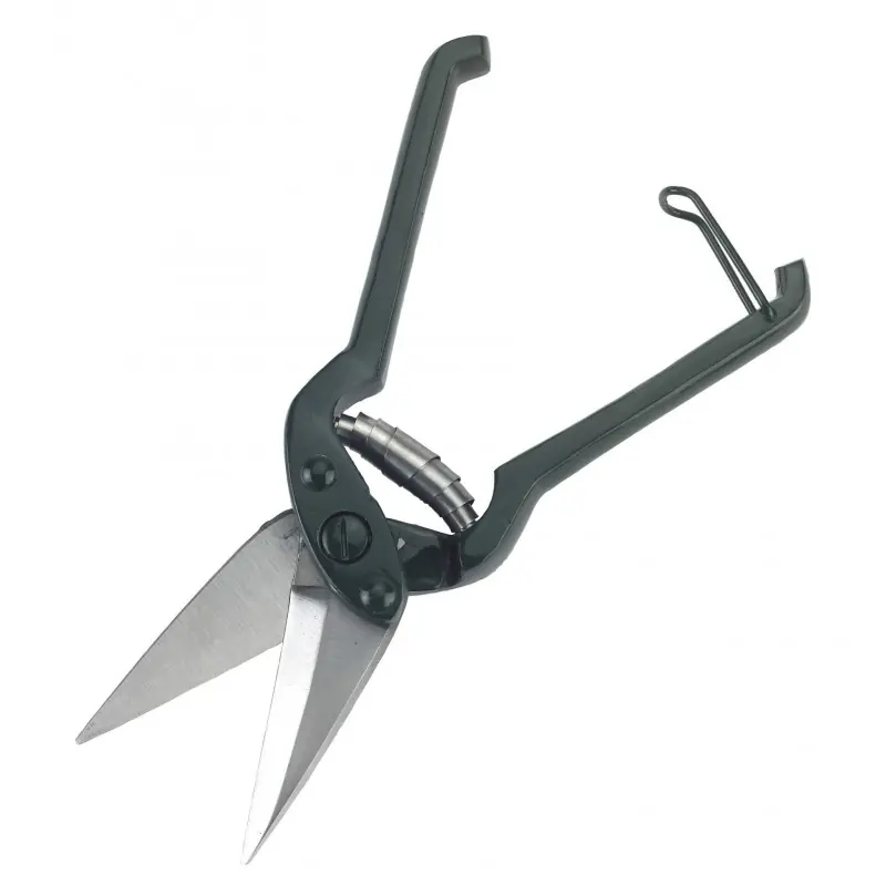 Nouvel Arrivage CISAILLE ONGLES MOUTON LAME COURTE
