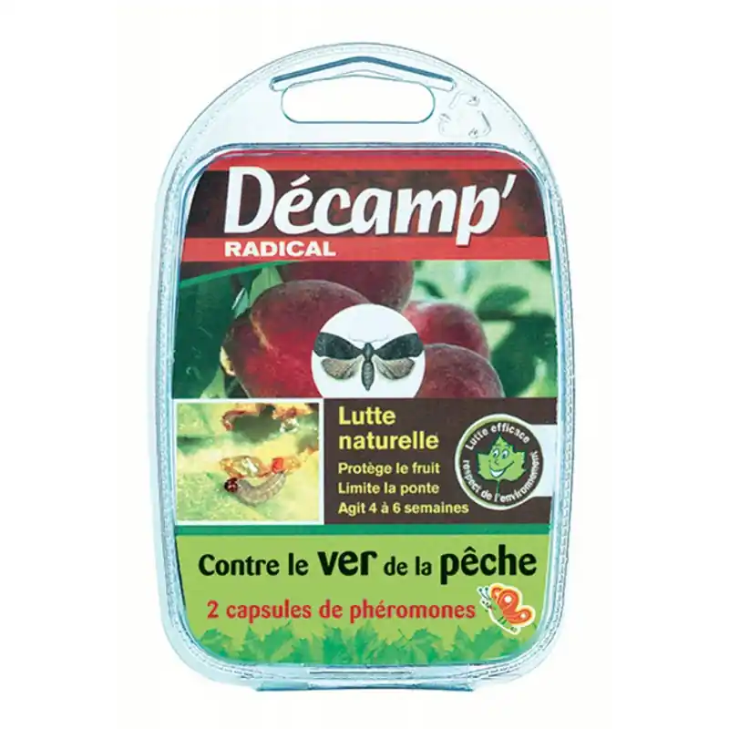 Remise VER DE LA PÊCHE - DECAMP‘