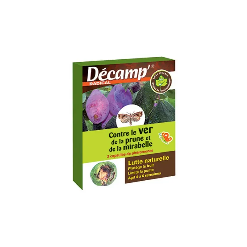 Offre Limitée VER DE LA PRUNE – DECAMP‘