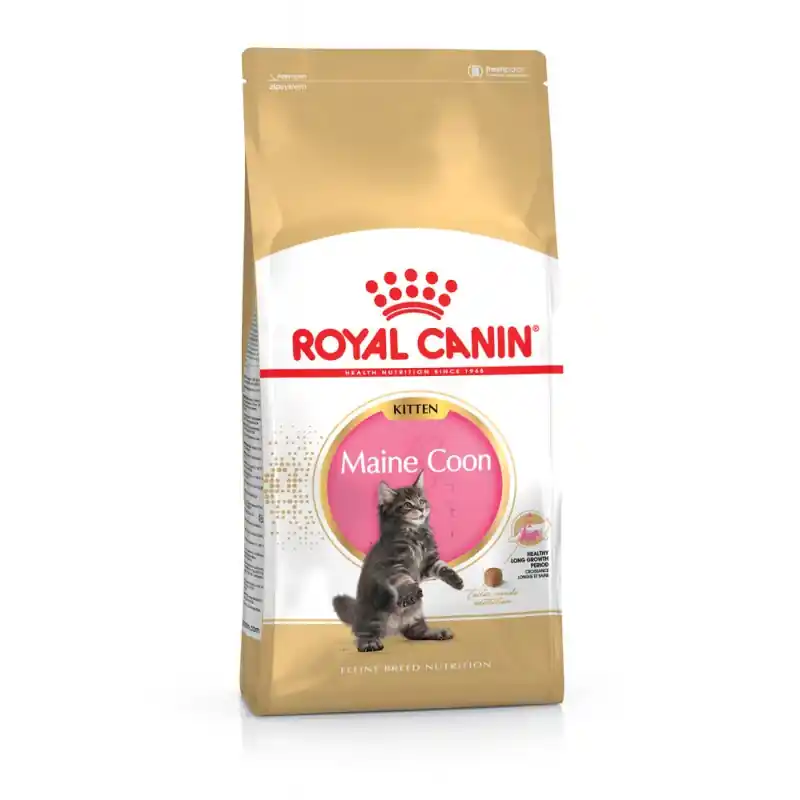 CROQUETTES CHATON MAINE COON 2KG ROYAL CANIN Pas Cher