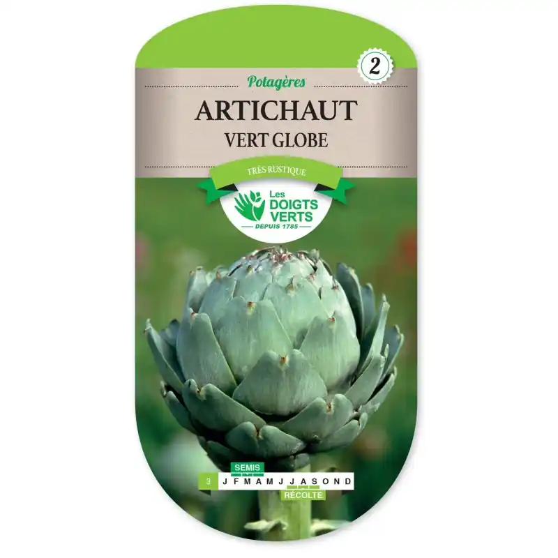 ARTICHAUT VERT GLOBE - CATÉGORIE 2 - LES DOIGTS VERTS Nouvelle Collection