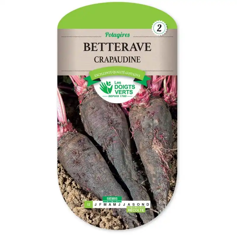 BETTERAVE CRAPAUDINE - CATÉGORIE 2 - LES DOIGTS VERTS Prix Cassé
