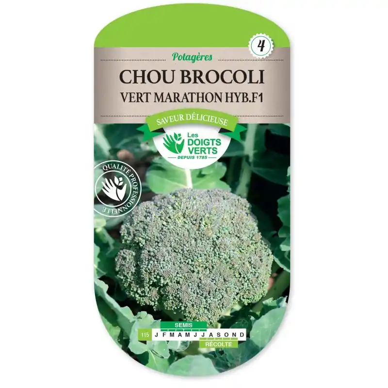 CHOU BROCOLI VERT MARATHON HYBRIDE F1 – LES DOIGTS VERTS Offre Spéciale