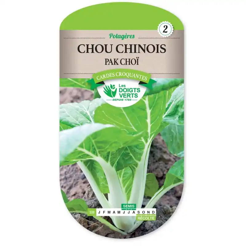 Acheter En Ligne CHOU CHINOIS PAK CHOÏ – CATÉGORIE 2 – LES DOIGTS VERTS