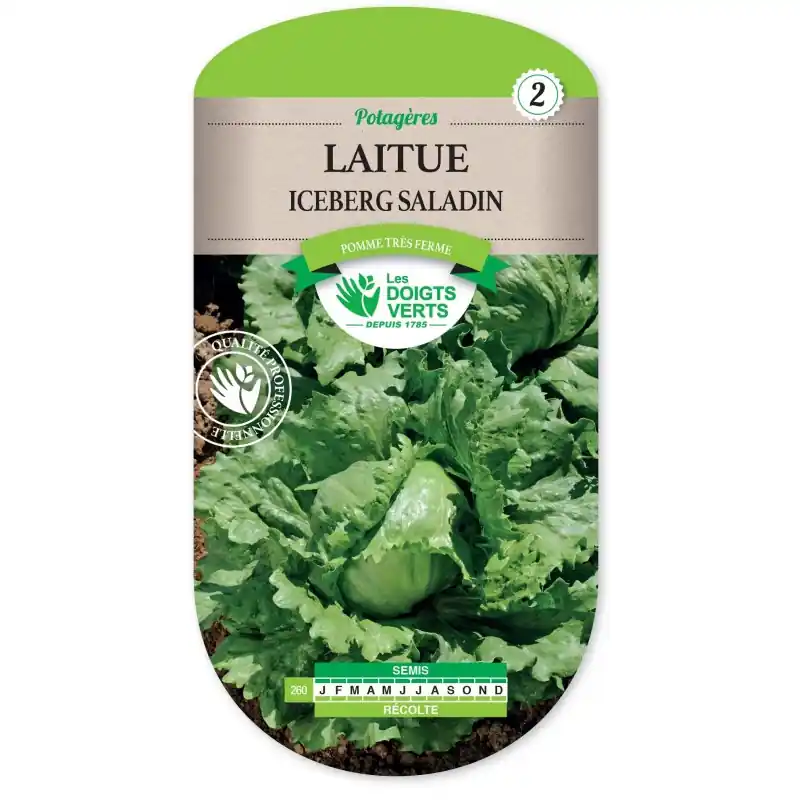 LAITUE ICEBERG SALADIN - CATÉGORIE 2 - LES DOIGTS VERTS Retour Gratuit