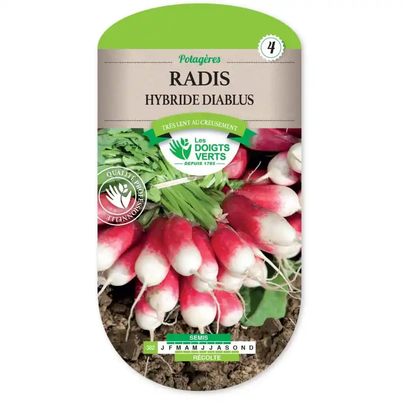 Offre Limitée RADIS HYBRIDE DIABLUS - CATÉGORIE 4 - LES DOIGTS VERTS