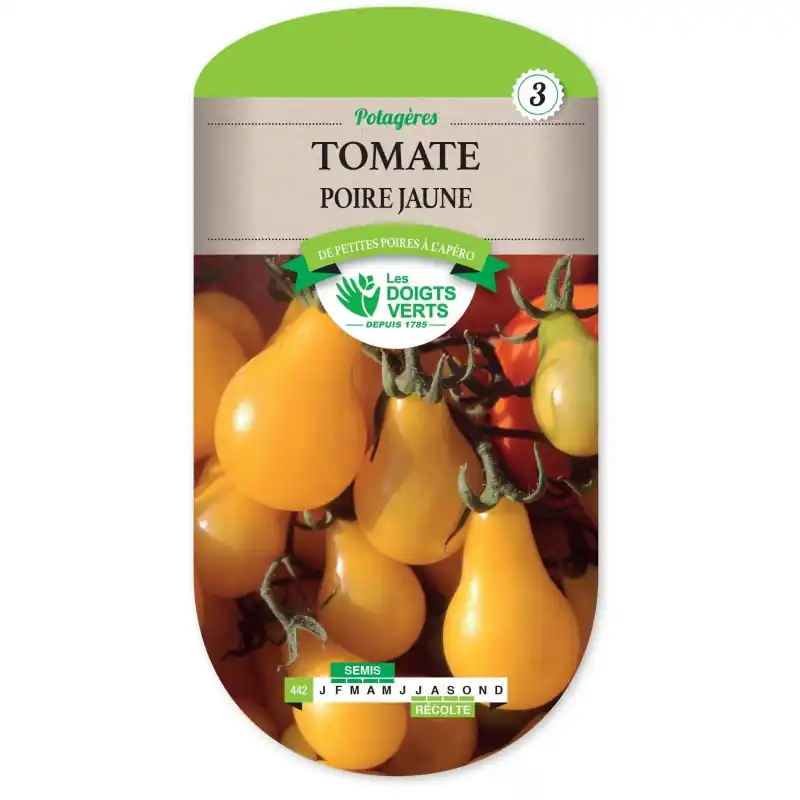TOMATE POIRE JAUNE (YELLOW PEARSHAPPED) - CATÉGORIE 3 - LES DOIGTS VERTS Quantité Limitée