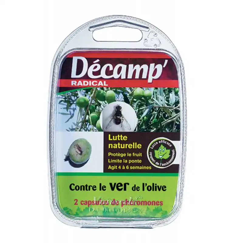 VER DE L‘OLIVE – DECAMP‘ Quantité Limitée