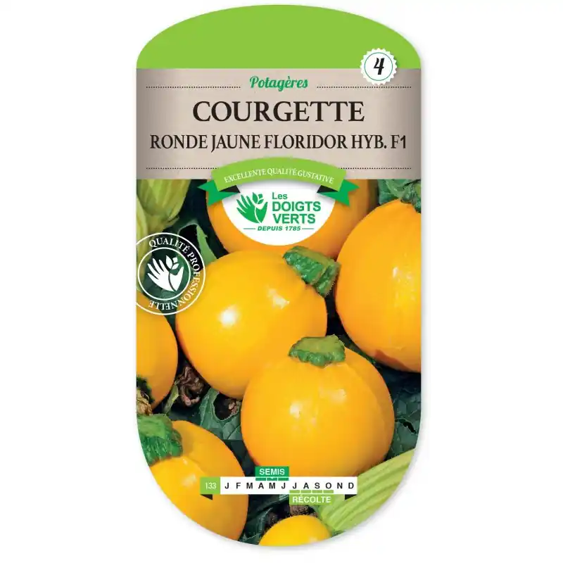 Meilleure Vente COURGETTE RONDE JAUNE FLORIDOR HYBRIDE F1 - LES DOIGTS VERTS
