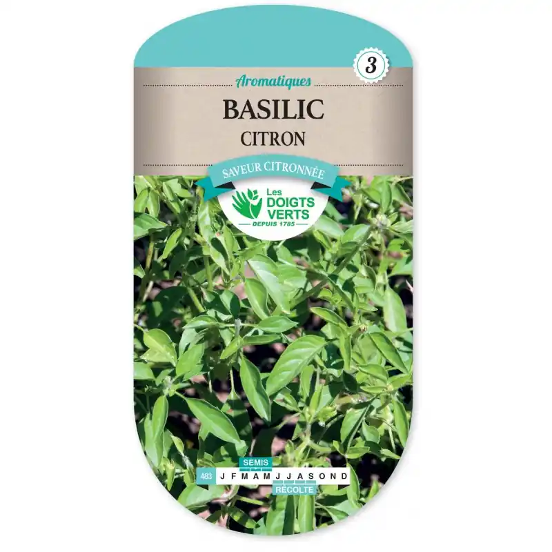 BASILIC CITRON – CATÉGORIE 3 – LES DOIGTS VERTS Promotion Saisonnière