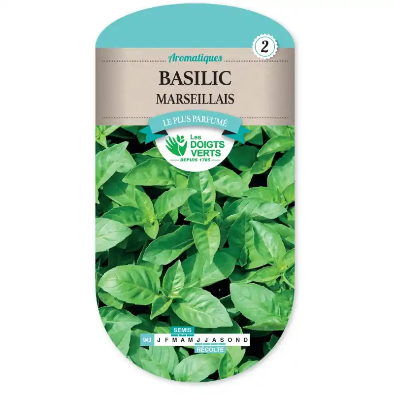 BASILIC MARSEILLAIS – CATÉGORIE 2 – LES DOIGTS VERTS Promotion