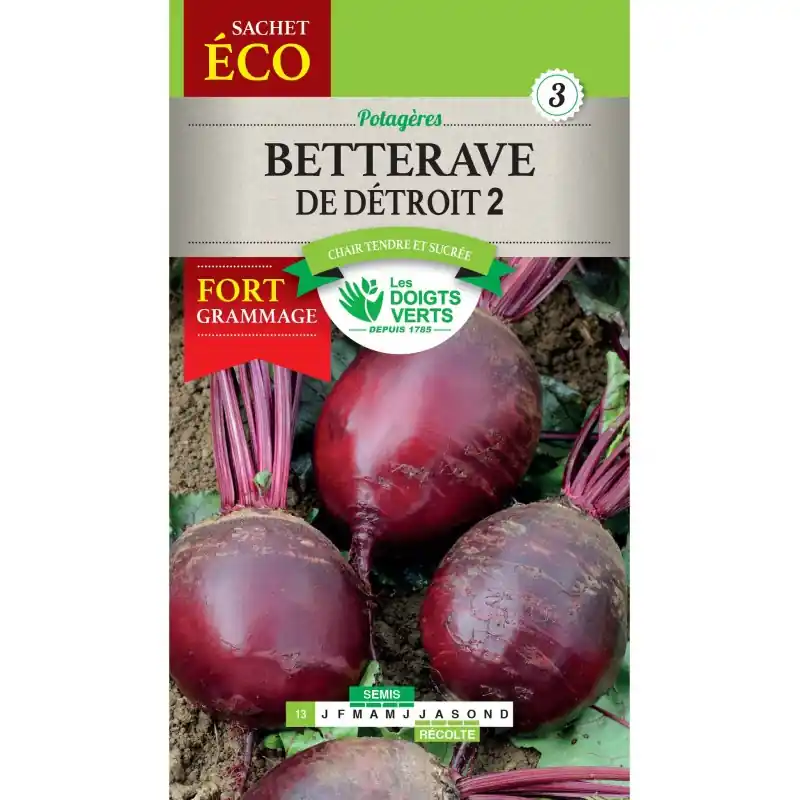 BETTERAVE DE DÉTROIT 2 – SACHET ÉCO – CATÉGORIE 3 – LES DOIGTS VERTS Produit De Marque