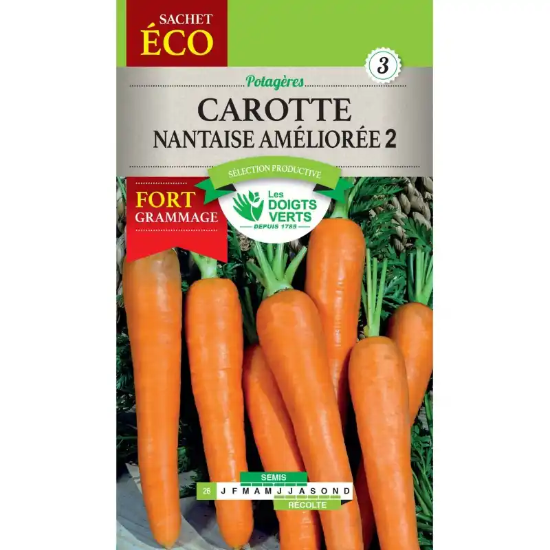 CAROTTE NANTAISE AMÉLIORÉE 2 – SACHET ÉCO – CATÉGORIE 3 – LES DOIGTS VERTS Vente Directe