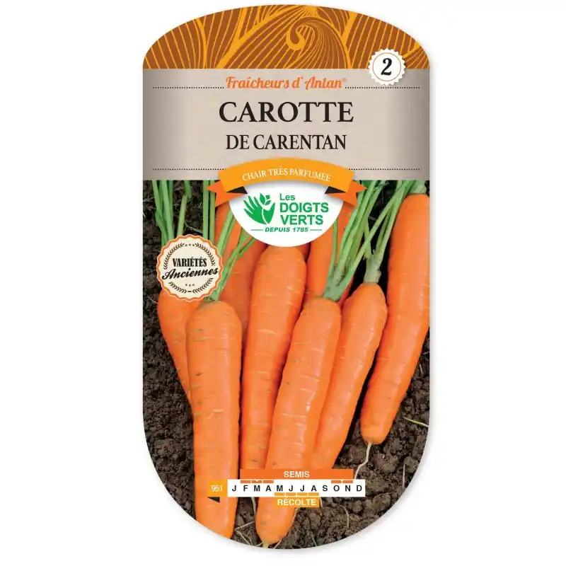 CAROTTE DE CARENTAN – CATÉGORIE 2 – LES DOIGTS VERTS Prix Réduit