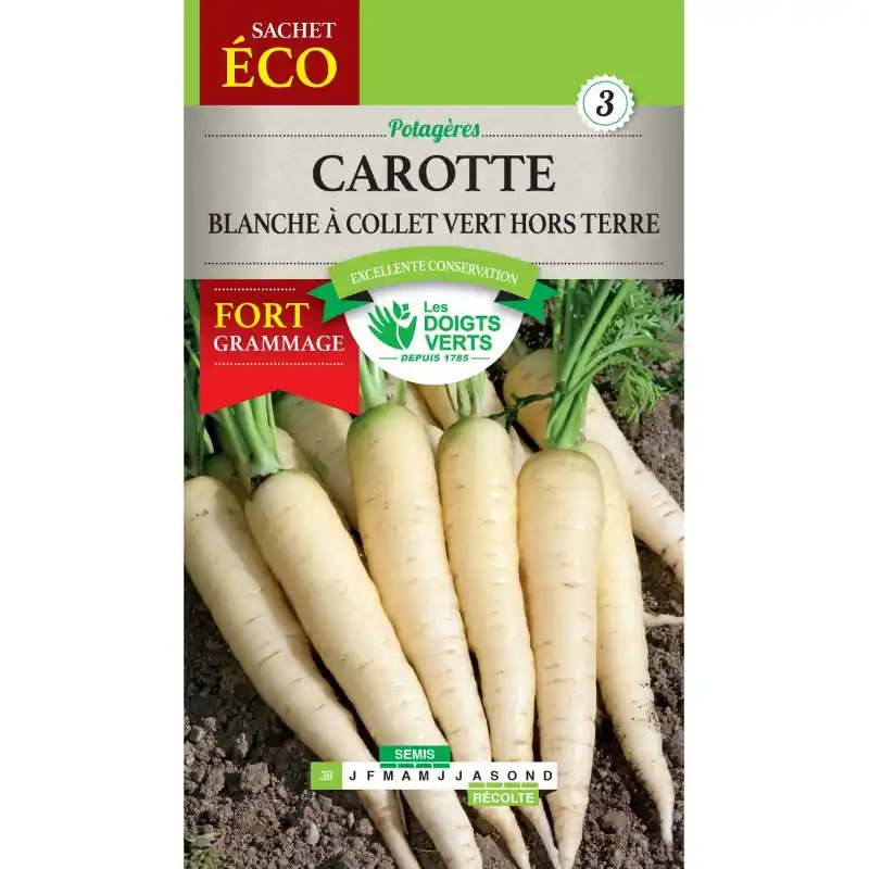 CAROTTE BLANCHE A COLLET VERT HORS TERRE – SACHET ÉCO – CATÉGORIE 3 – LES DOIGTS VERTS Nouvelle Collection