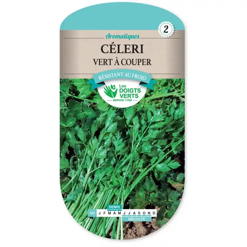 CÉLERI VERT A COUPER – CATÉGORIE 2 – LES DOIGTS VERTS Commande En Gros