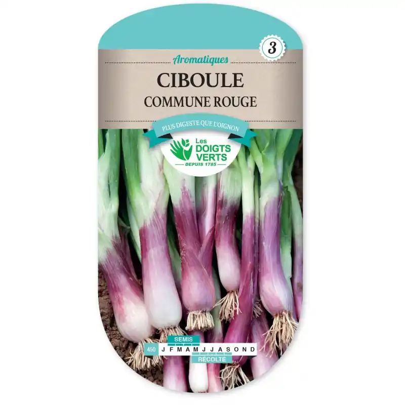 CIBOULE COMMUNE ROUGE - CATÉGORIE 3 - LES DOIGTS VERTS Must-Have